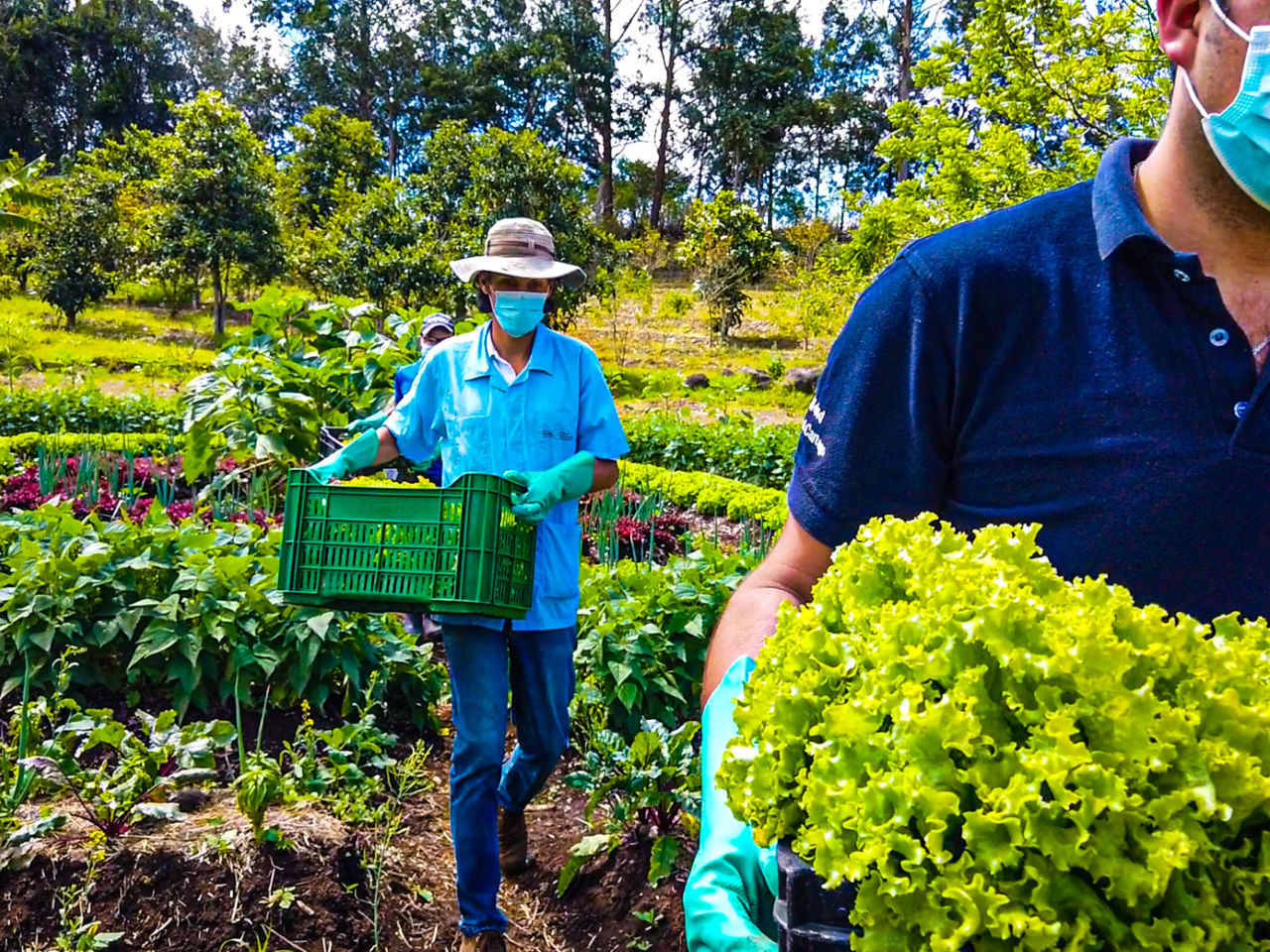 Costa Rica’s National Learning Institute puts itself at the heart (and stomach) of the pandemic response