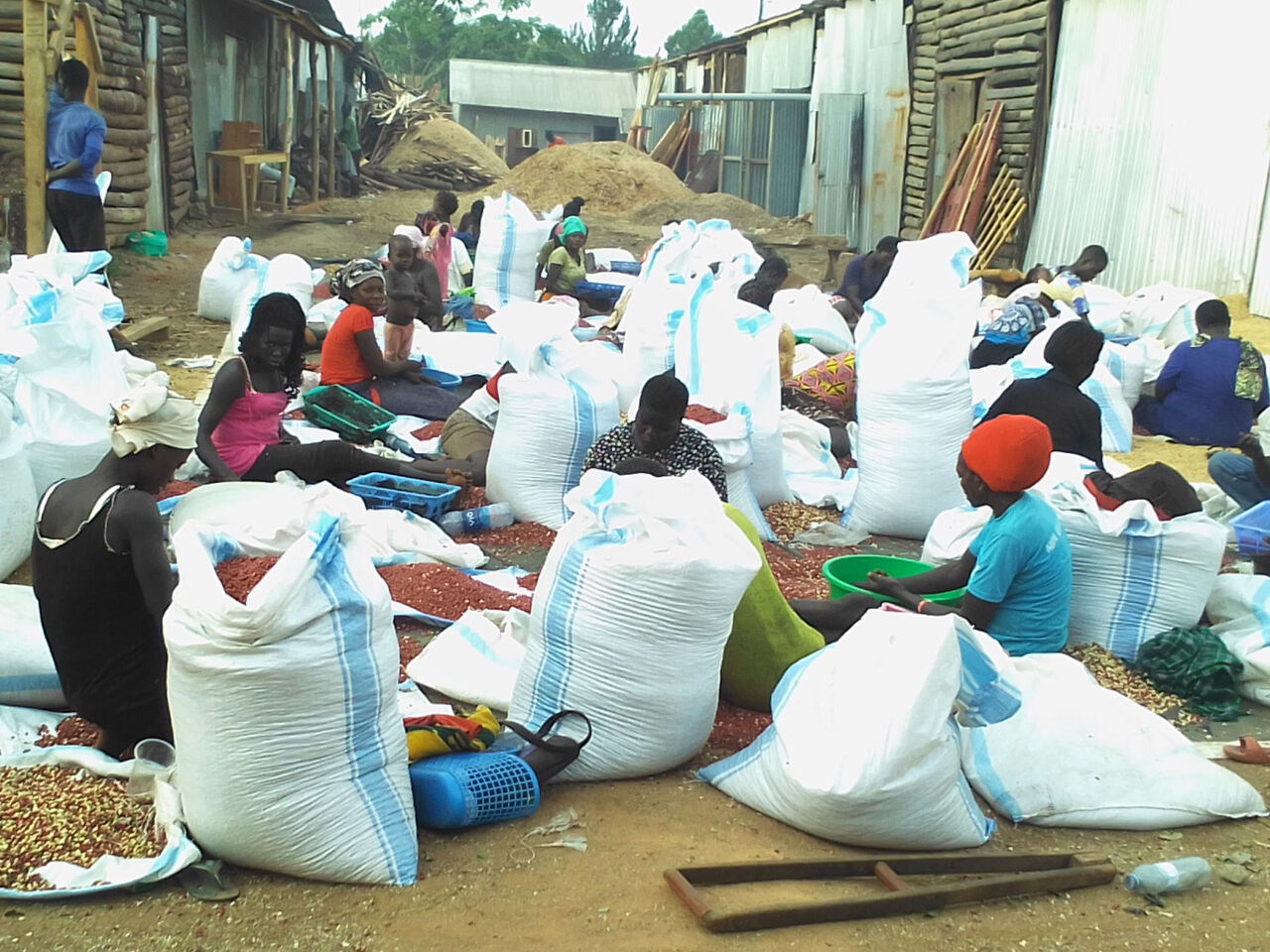 People sat on the ground surrounded by large bags of food, part of a project by Saben Foods from Uganda, whose project aims to provide effective and sustainable supply chains for small farmers.