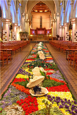 flower_carpet_nz_250.jpg